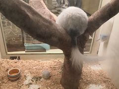 -龙猫仔乐园(惠福东路店)