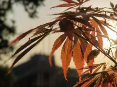 -郑和公园