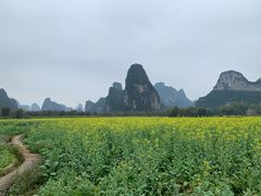 -明仕田园