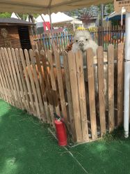 -萌宠亲子动物乐园(槐房万达店)