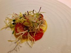 -蝶舍·MAISON PAPILLON