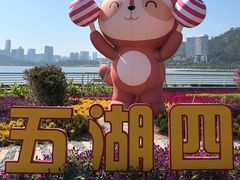 -野狸岛