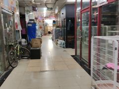 -宝鸡东道花鸟鱼虫市场(吉利花园商场店)