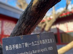 景点-北京鲁迅博物馆(北京新文化运动纪念馆鲁博馆区)