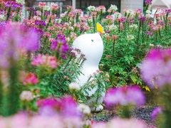 -云溪植物园