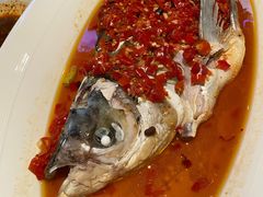 剁椒鱼头-凤凰湘语·海派湘菜(浦东旗舰店)