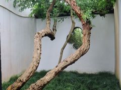 -上海醉白池公园