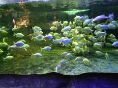-蓬莱欧乐堡海洋极地世界