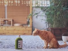 -椿风·养身茶饮(吉大店)