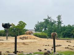 -上海野生动物园
