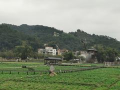 -红山村