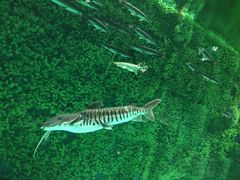 -福州罗源湾海洋世界旅游区