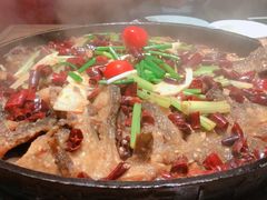 -老板恋上鱼(印象城店)