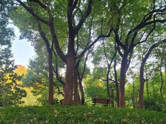 -徐家汇源景区-衡山公园