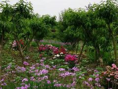 -洪湖家庭农场·团建·露营·会议