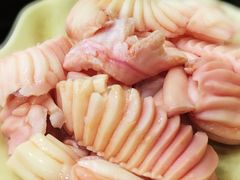牙梗-大龙火锅(老店)