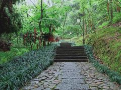 -梦姑塘文化公园