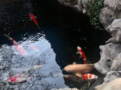-鲤院·新中式美学·庭院餐厅(夫子庙店)