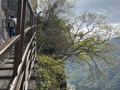 -雁荡山风景名胜区