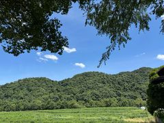 -中国茶叶博物馆(双峰馆区)