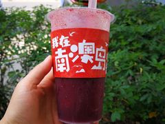 -南澳岛打卡果汁冰公司