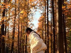 -白水寺森林公园