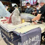 九本超级居酒屋，春日舌尖的奇妙冒险🧐