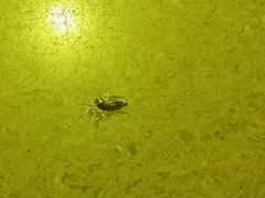 -钻石量贩KTV(花都广场店)