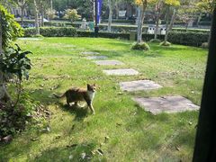 -荷风细雨·中国茶宴(碧云店)