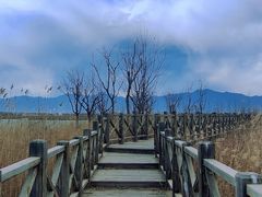 -野鸭湖国家湿地公园