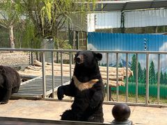 -五龙山野生动物王国