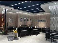 -知音艺术教育培训·钢琴培训·音乐培训(河西金鹰世界校区)