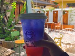 -喵屿·大理花园猫咖