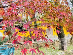 -虞山风景区