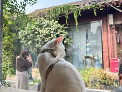 -VOYAGE COFFEE(杨梅竹店)