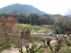 -广州市石门国家森林公园