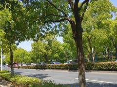 -上海佘山国家森林公园西佘山园