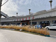 -东方早茶 海鲜•青岛菜(国信体育中心店)