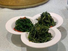 清香枸杞苗-国强手抓(北京西路店)