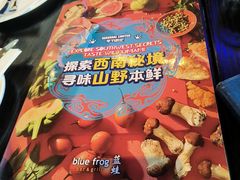 -blue frog蓝蛙(长泰广场店)