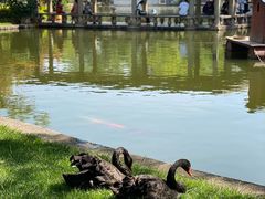 -MAP CHA普洱茶馆(翠湖店)