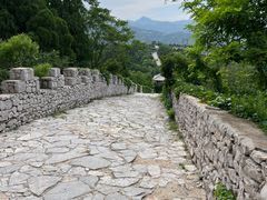 -原山国家森林公园