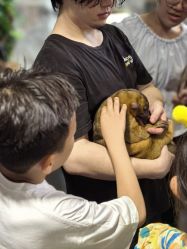 -Zoolung Zoolung动物主题公园(海信广场店)