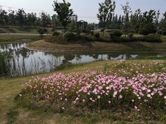 -尚贤河湿地