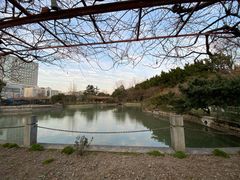 -嘉定紫藤园