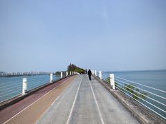 -贡湖湾湿地公园