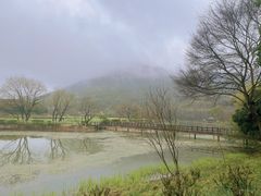 -八卦田遗址公园