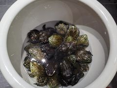 -东北大院·东北菜(三台子店)