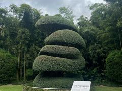 -苏州河梦清园环保主题公园