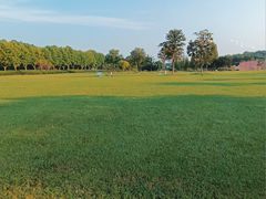 -宜兴龙背山森林公园